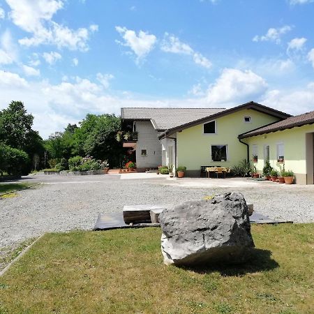 Deno Apartment Podgrad  Luaran gambar